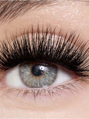 LASHIFY Bold Black V12 $ V16  Lashes